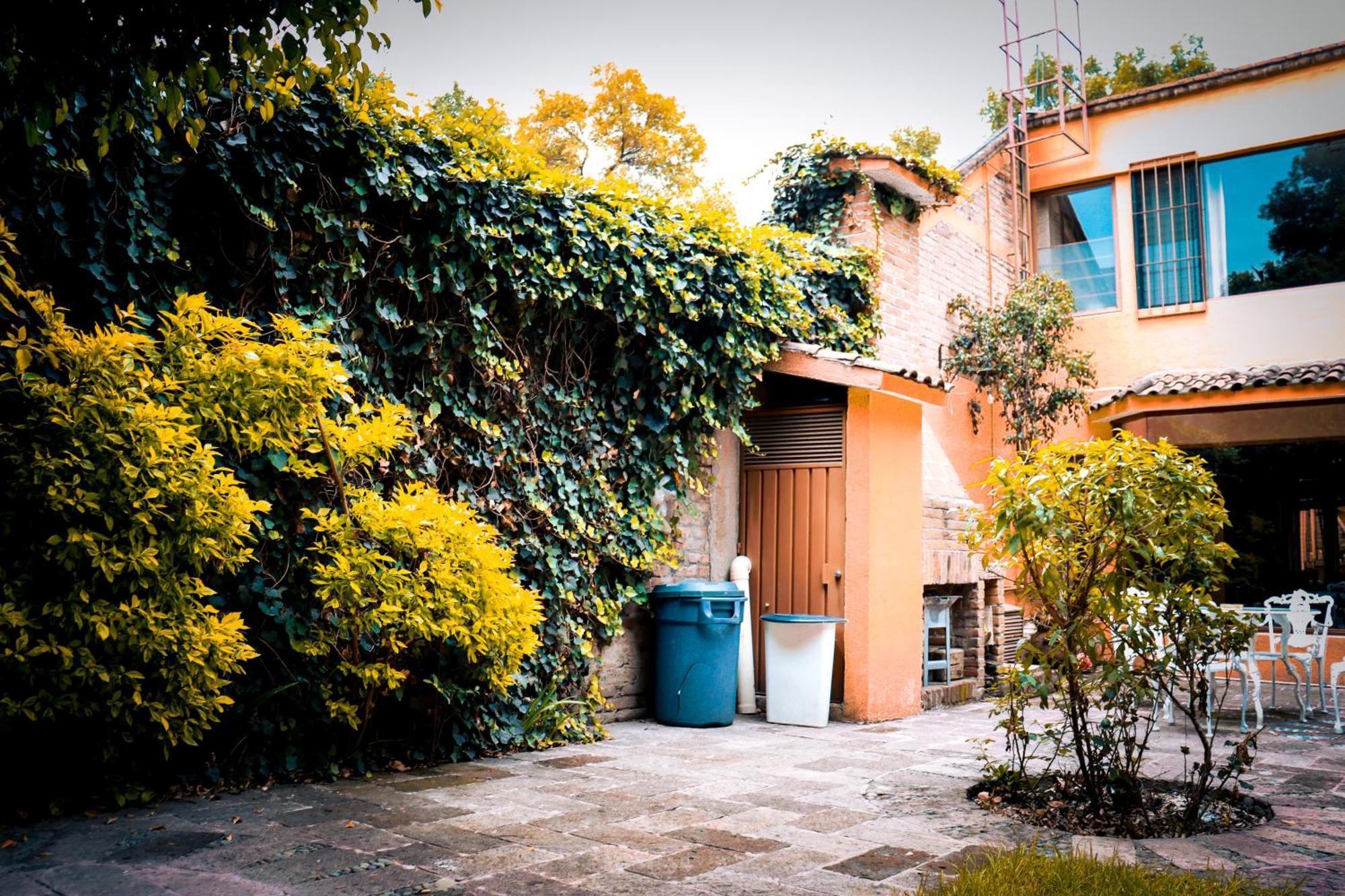 Suites Cuija Coyoacan Ciudad de México Exteriér fotografie