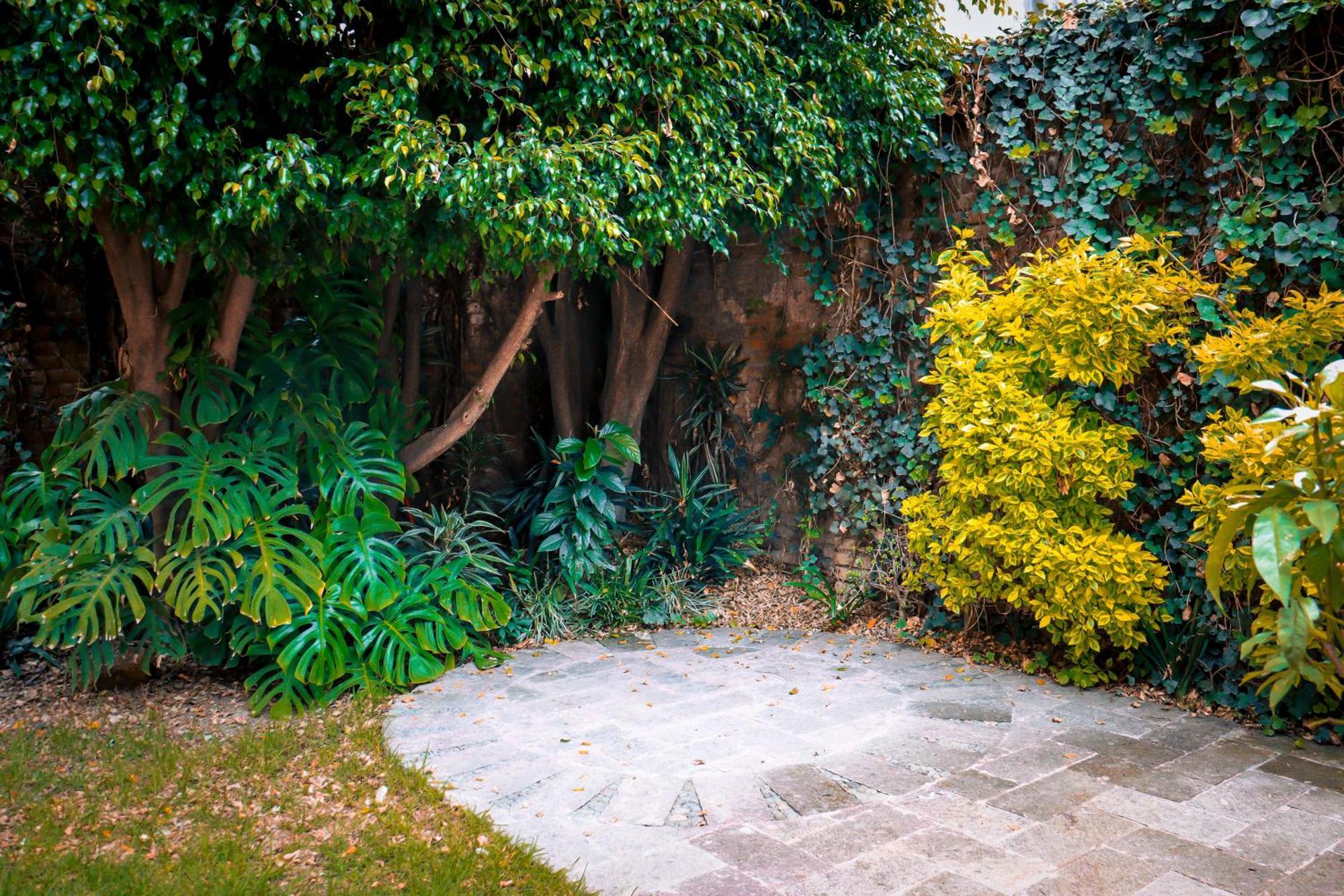 Suites Cuija Coyoacan Ciudad de México Exteriér fotografie